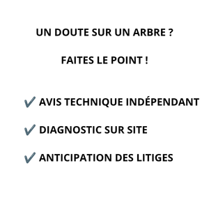 Avis technique et diagnostic arboricole indépendant pour éclairer les décisions et anticiper les situations de litige.