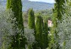 Agroécologie en oliveraie