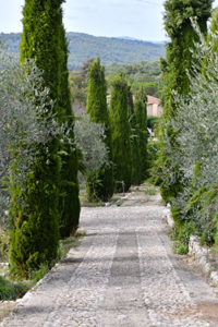 Agroecologie en oliveraie