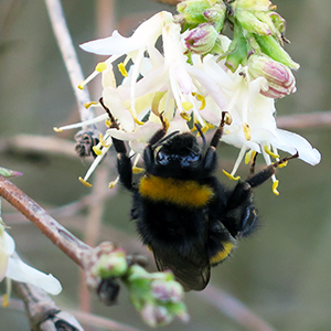 Appel à projet biodiversité