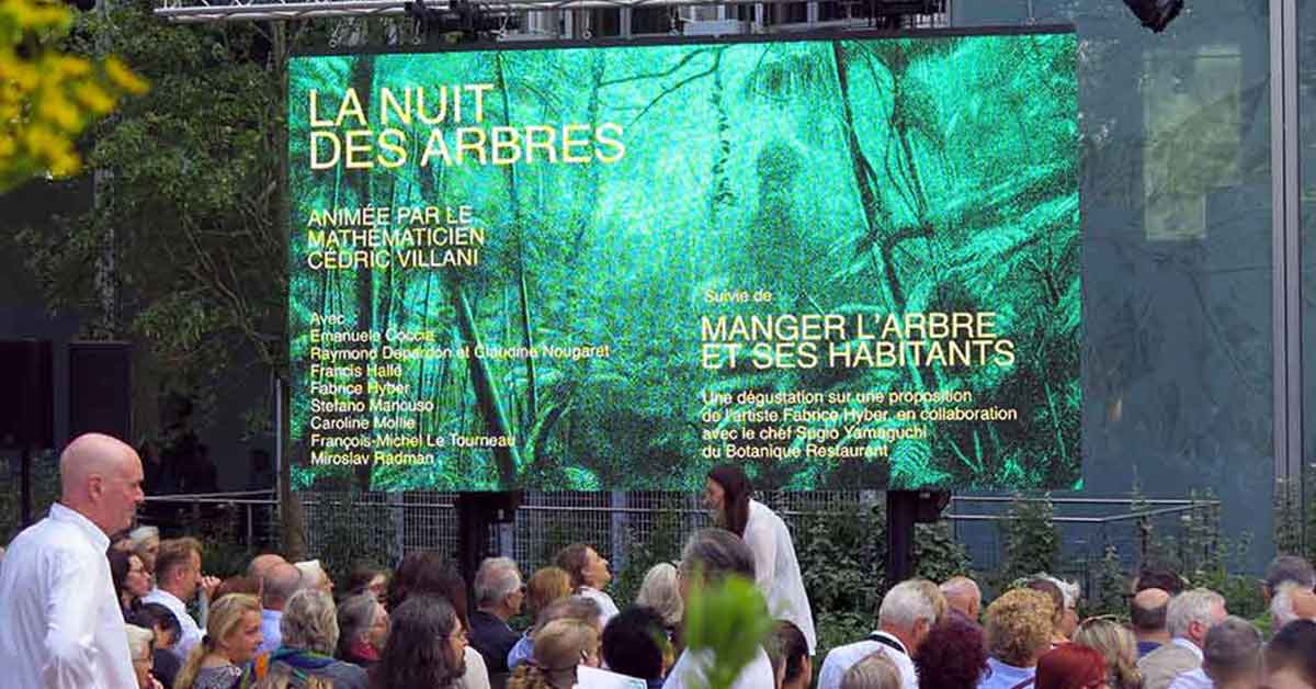 la nuit des arbres