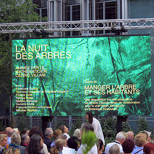 la nuit des arbres