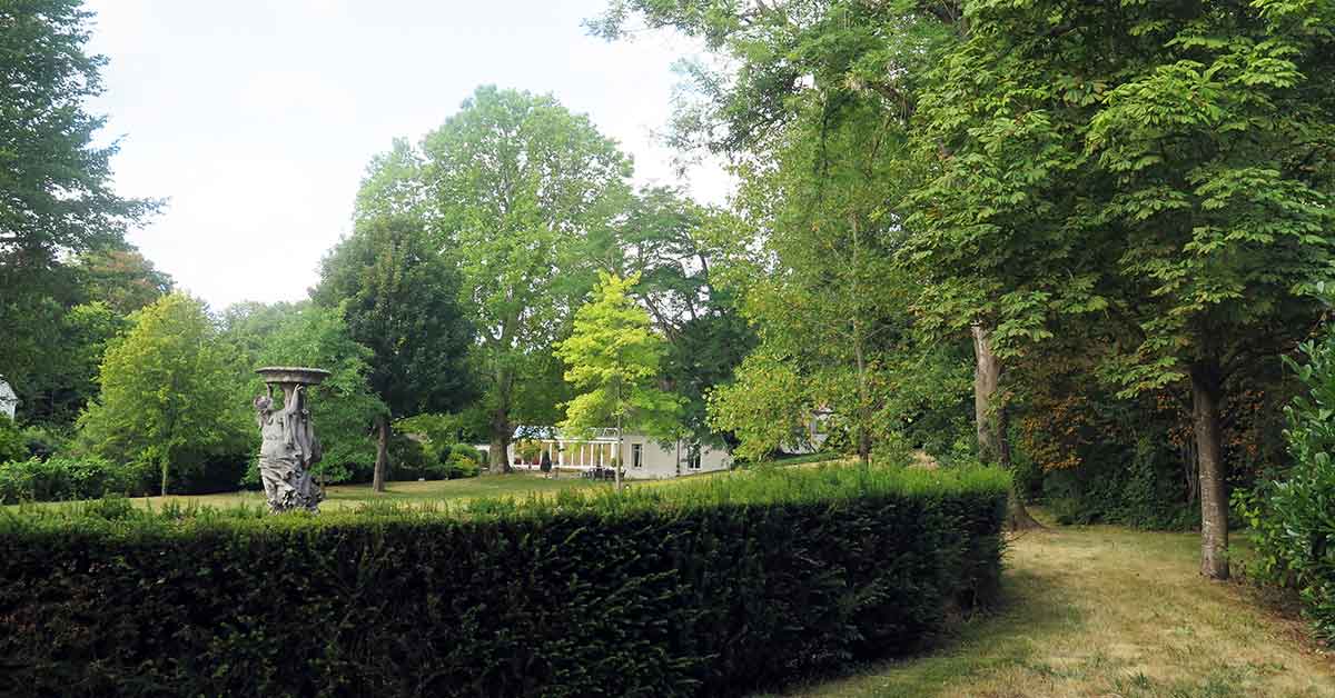Mission arboricole : gérer les arbres