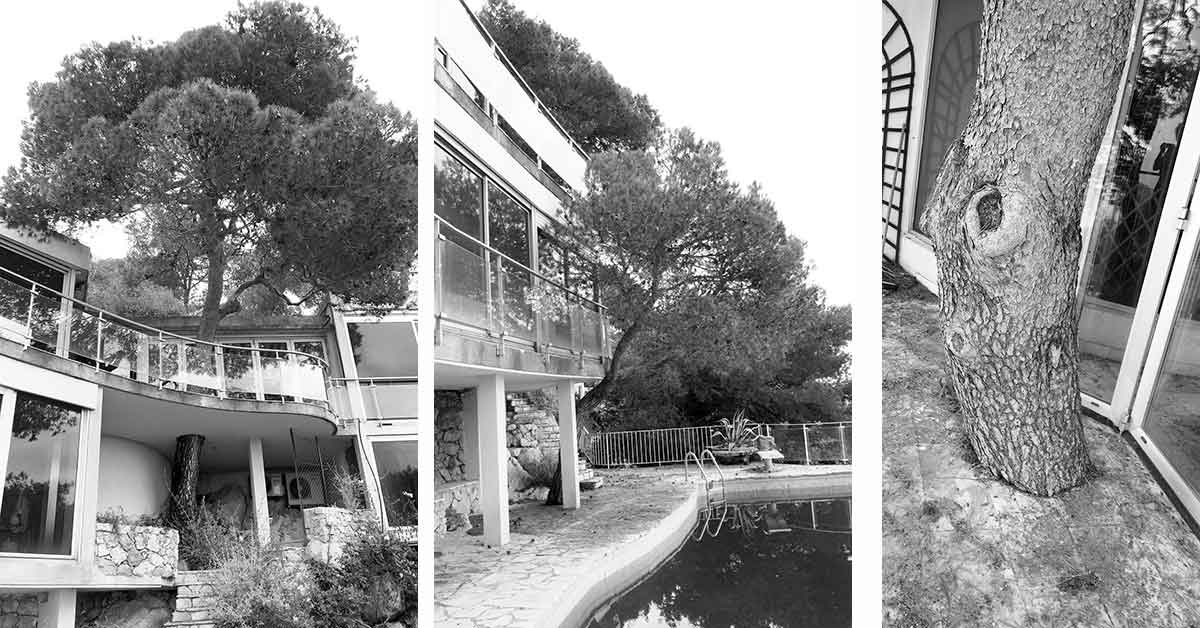 Diagnostic Phytosanitaire d’arbre avant permis de construire