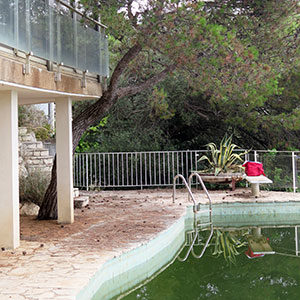 Diagnostic arbre avant travaux