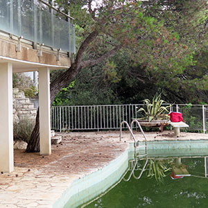 Diagnostic arbre avant travaux