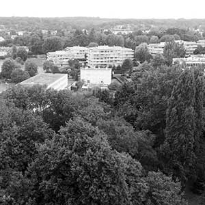 foresterie urbaine