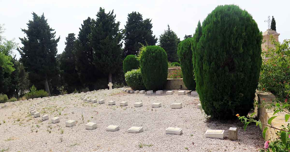 mission conseil arboricole