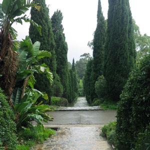 jardin mediterranéen