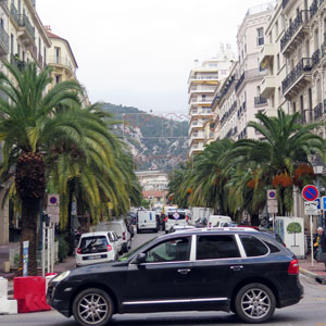 foresterie urbaine