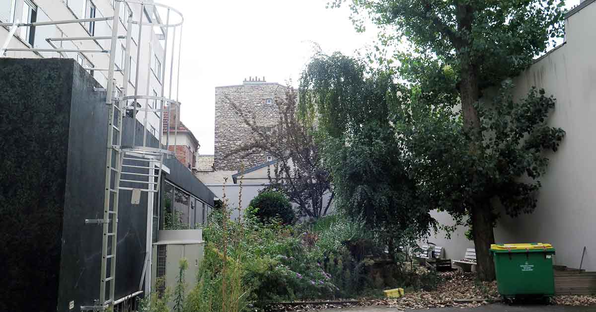 Diagnostic phytosanitaire et biomécanique d'arbres
