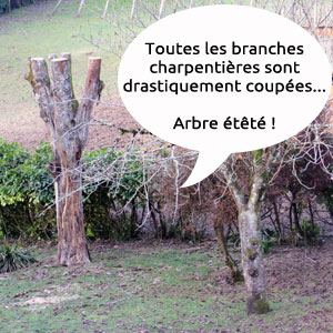 arbre mutilé