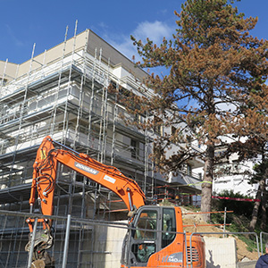 Étude phytosanitaire et projet immobilier