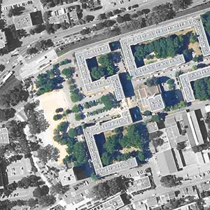 Gestion de patrimoine arboré