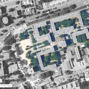 inventaire et diagnostic de patrimoine arboré