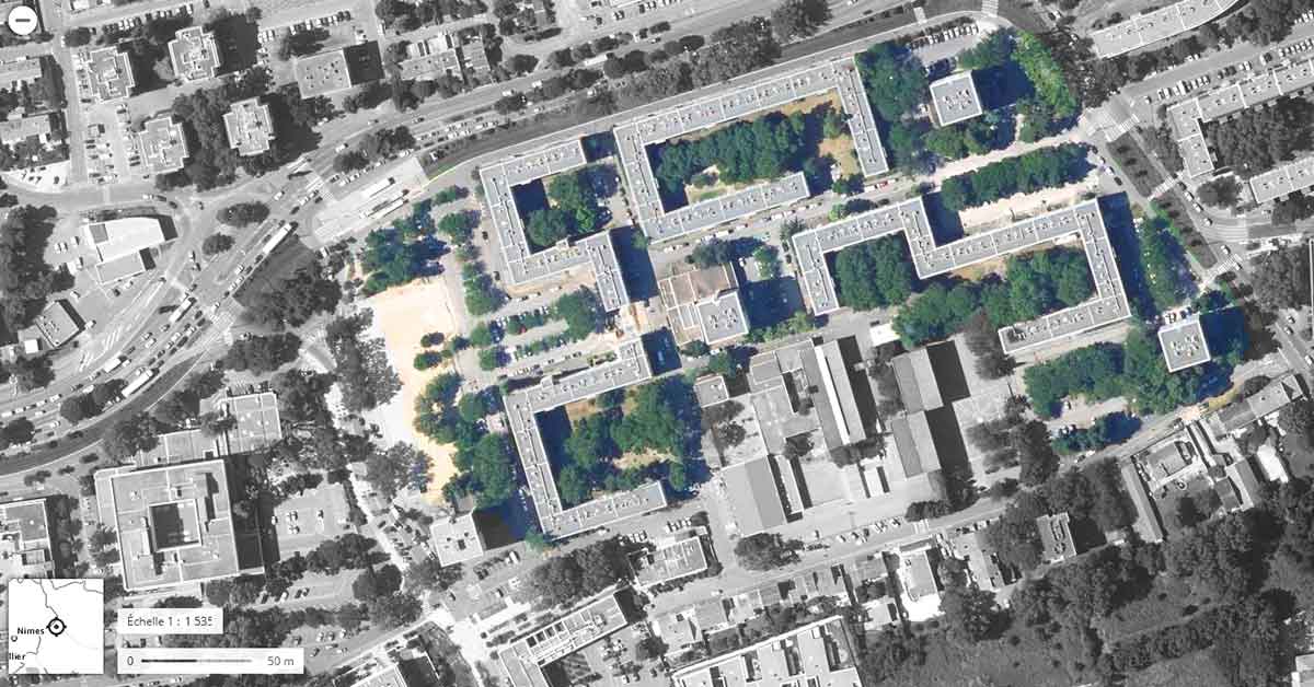 Mission d'inventaire et diagnostic de patrimoine arboré