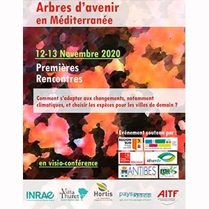 Arbres d'Avenir en Méditerranée