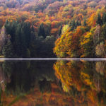 Plus d'arbres, plus d'eau...!!!