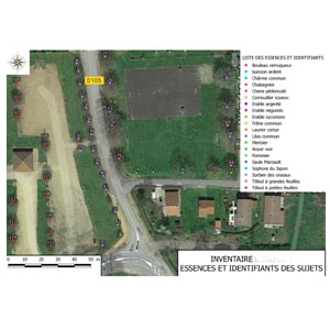 Cartographie et base de données