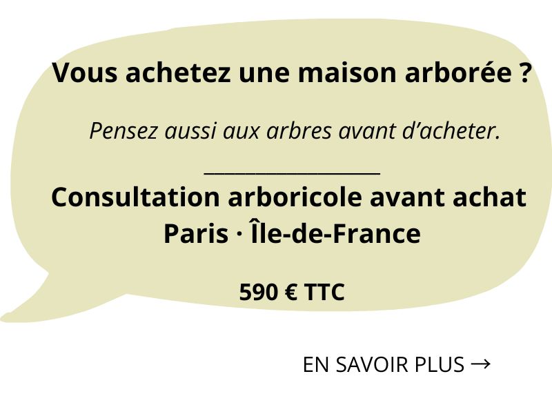 consultation arboricole avant achat à Paris