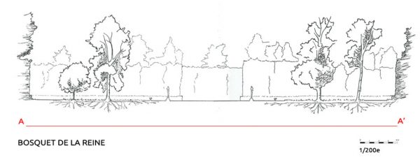 arbres de parcs historiques