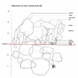 conception paysagere