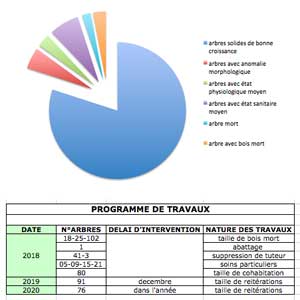 gestion de patrimoine arboré