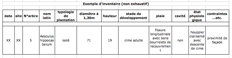 inventaire de patrimoine arboré