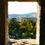 palette végétale en mediterranée