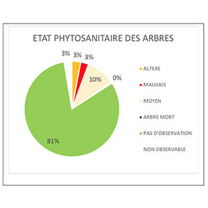 inventaire et diagnostic de patrimoine arboré