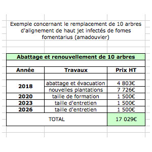 gestion de patrimoine arboré