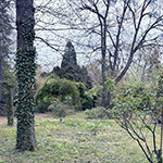 Conseil arboricole avant achat de terrain