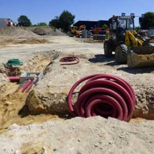 Protection des arbres avant travaux