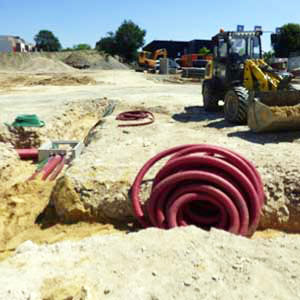 Protection de l'arbre avant travaux