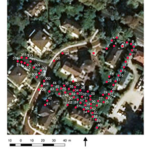 Cartographie et base de données